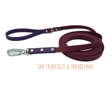 Smycz Biothane Multicolor San Francisco & Philadelphia