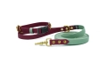 Multicolor-zestaw.webp